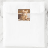 Getty Images | Sleepy Cat Quadratischer Aufkleber (Tasche)