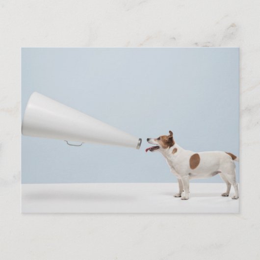 Getty Images | Sprechende Hunde Postkarte (Vorderseite)