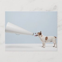 Getty Images | Sprechende Hunde Postkarte