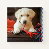 Getty Images | Welpe auf einem Sofa Notizblock (Rückseite)