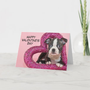 Getty Images Welpe Liebe Feiertagskarte