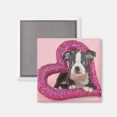 Getty Images | Welpe Liebe Magnet (Vorderseite/Rückseite)