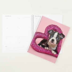 Getty Images Welpe Liebe Planer
