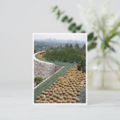 Getty museum cacti postkarte (Stehend Vorderseite)