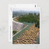 Getty museum cacti postkarte (Vorne/Hinten)