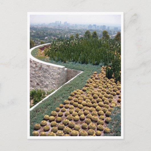 Getty museum cacti postkarte (Vorderseite)