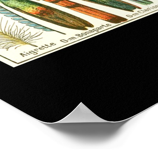 Gewächse Poster (Ecke)