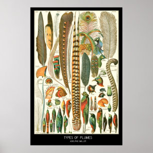 Gewächse Poster