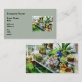 Gewächshaus mit Kakteen Visitenkarte (Vorne/Hinten)