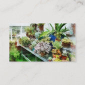 Gewächshaus mit Kakteen Visitenkarte (Rückseite)