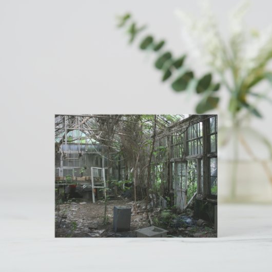 Gewächshaus Postkarte (Stehend Vorderseite)