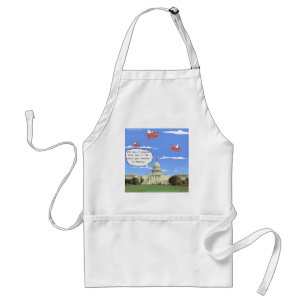 Gewalt im Kongress und in der Schusswaffe Schürze