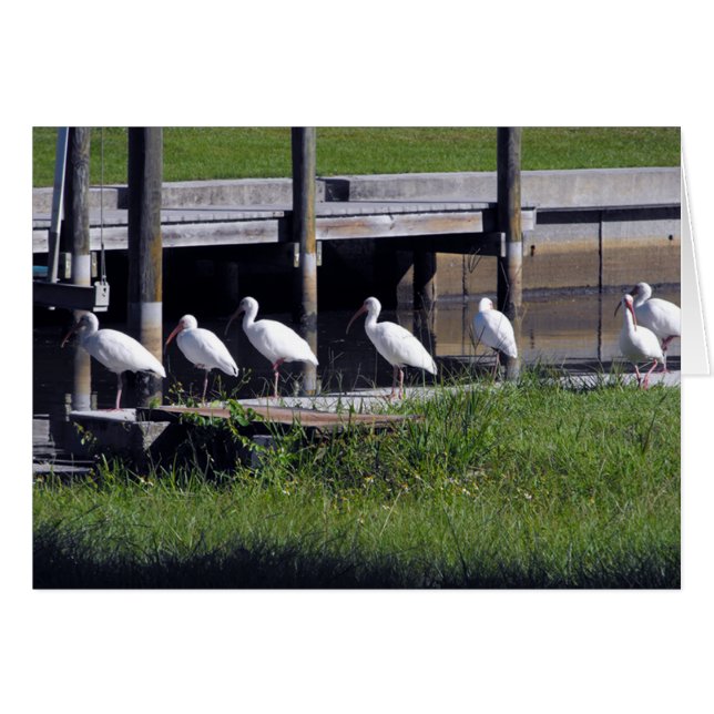 gewartet... (Vorderseite (Horizontal))