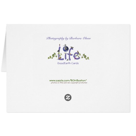 Gewartet (Rückseite Horizontal)