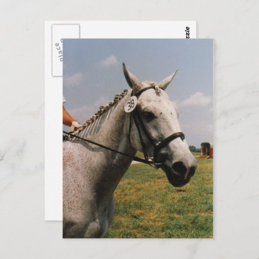 Gewartet - Anpassbar Postkarte (Vorne/Hinten)