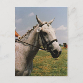 Gewartet - Anpassbar Postkarte