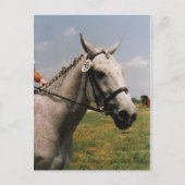 Gewartet - Anpassbar Postkarte (Vorderseite)