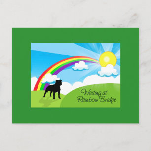 Gewartet bei Rainbow Bridge Pitbulles Postkarte
