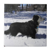 Gewartet Fliese (Vorderseite)