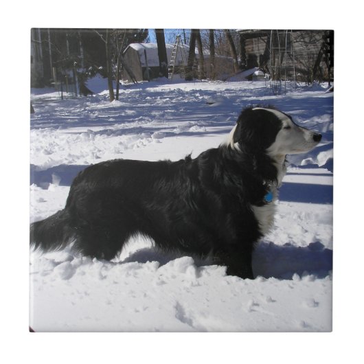 Gewartet Fliese (Vorderseite)