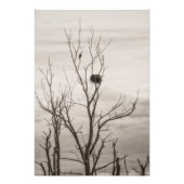 Gewartet Fotodruck (Vorne)