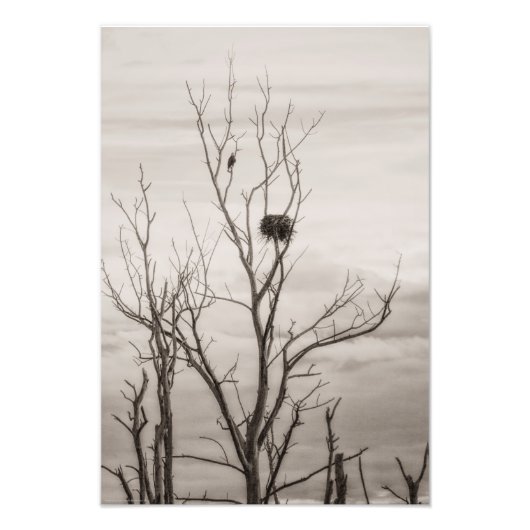 Gewartet Fotodruck (Vorne)