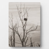 Gewartet Fotoplatte (Vorderseite)