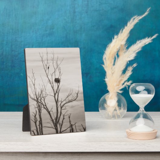 Gewartet Fotoplatte (Seite)