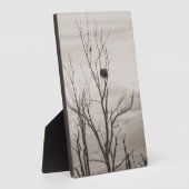 Gewartet Fotoplatte (Seite)