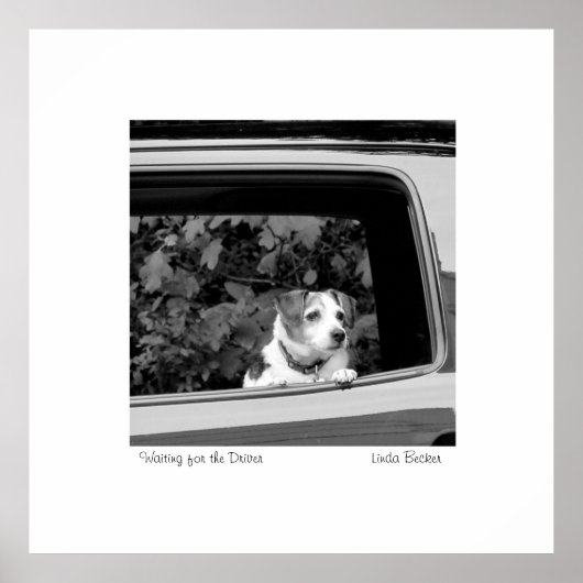 Gewartet für das Fahrerfoto von Linda Becker Poster (Vorne)