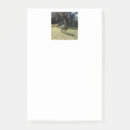 "Gewartet für den Sinti und Roma Rover" Post-it Klebezettel