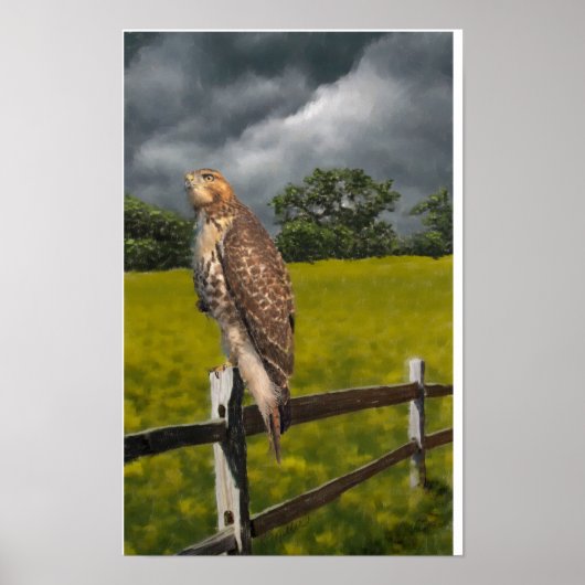 Gewartet für den Sturm - Roter Schwanz Hawk Poster (Vorne)