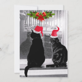 Gewartet für den Weihnachtsmann