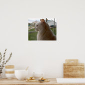 Gewartet für mein menschliches poster (Küche)