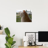 Gewartet für mein menschliches poster (Heimbüro)