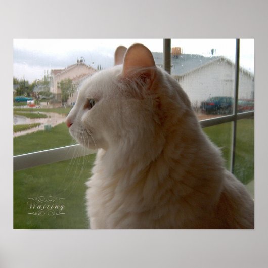 Gewartet für mein menschliches poster (Vorne)