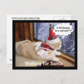 Gewartet für Santa Feiertagspostkarte (Vorne/Hinten)