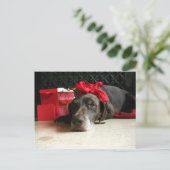 gewartet für Santa Feiertagspostkarte (Stehend Vorderseite)