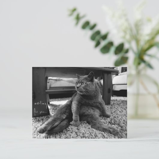 Gewartet für Sie - Postkarte (Stehend Vorderseite)