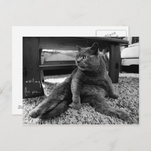 Gewartet für Sie - Postkarte (Vorne/Hinten)