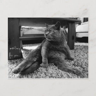 Gewartet für Sie - Postkarte