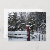 Gewartet für Weihnachtsbaum Feiertagspostkarte (Vorne/Hinten)