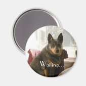 Gewartet... Magnet (Vorderseite/Rückseite)