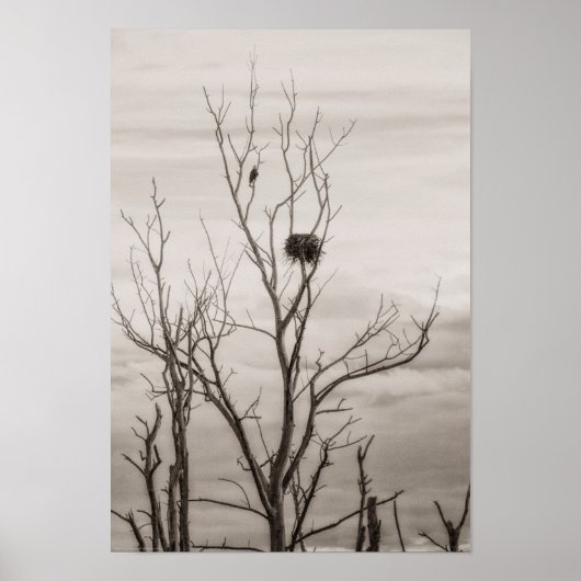 Gewartet Poster (Vorne)