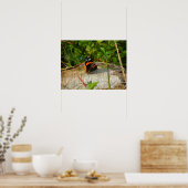 Gewartet Poster (Küche)