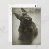 Gewartet Postkarte (Vorne/Hinten)