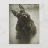 Gewartet Postkarte (Vorderseite)