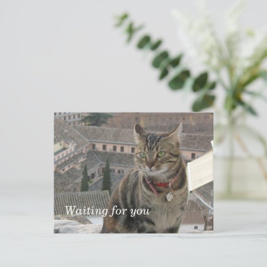 Gewartet Postkarte (Stehend Vorderseite)