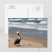 Gewartet Postkarte (Vorne/Hinten)