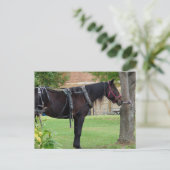 Gewartet Postkarte (Stehend Vorderseite)